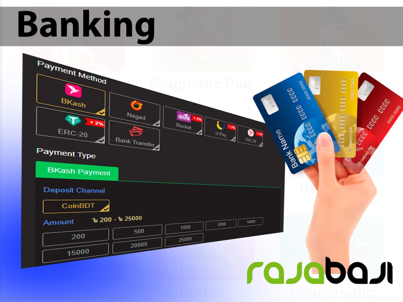 rajabaji cricket betting